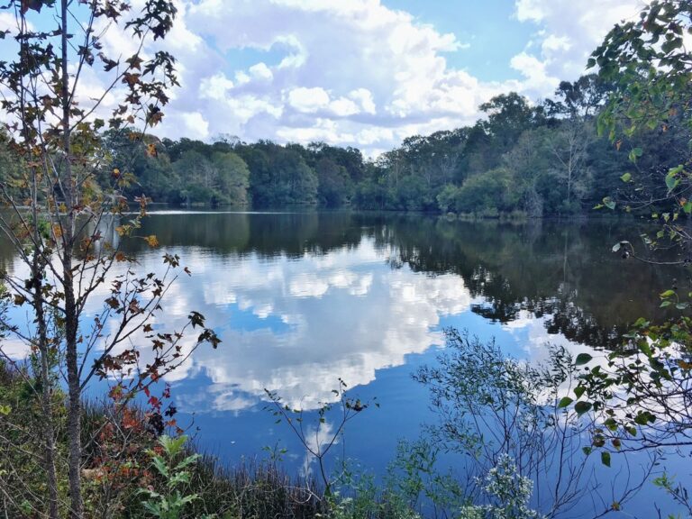 Hunting & Recreational Land For Sale in East Baton Rouge Parish