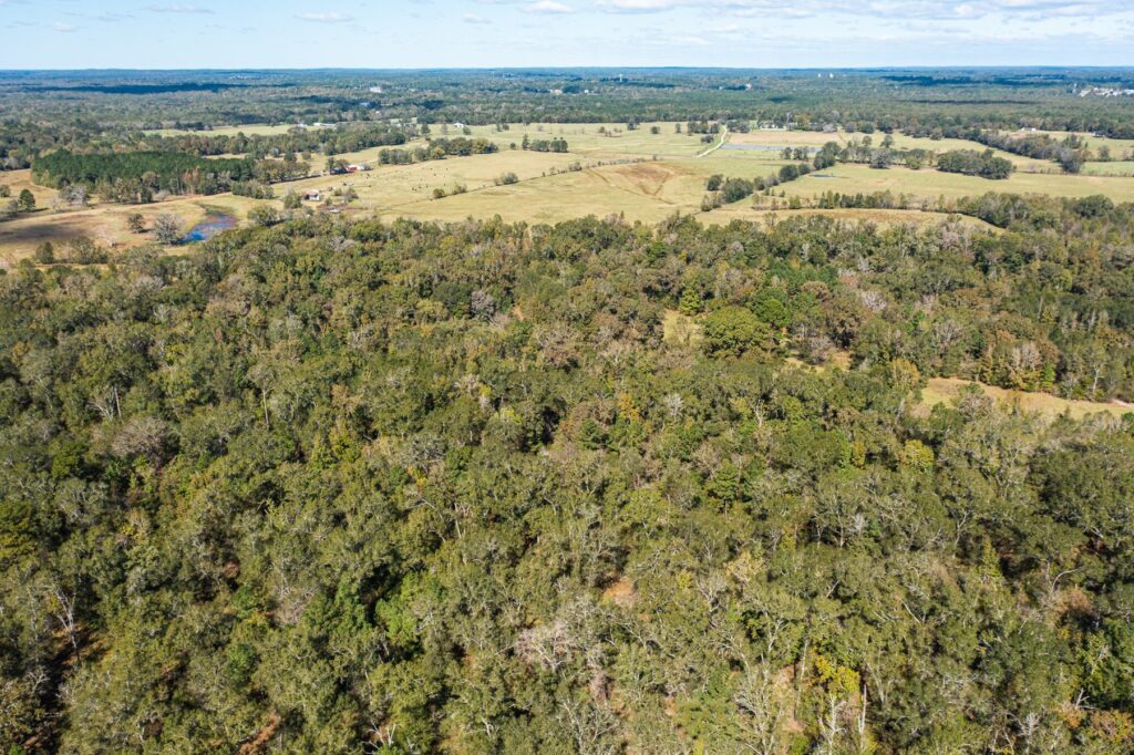 Aerial View of ranch
