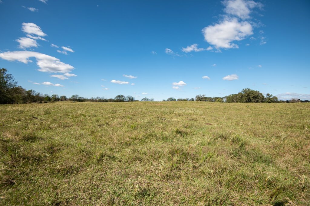 a large field