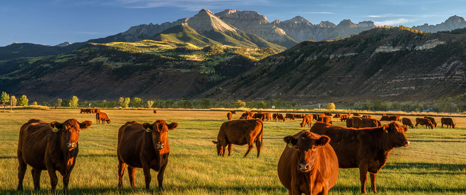Why Colorado is the Best State to Own a Ranch