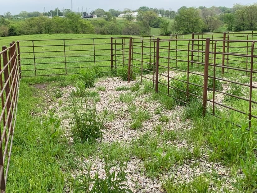 Farm-and-Ranch-Land-For-Sale-in-Putnam-County-MO-16