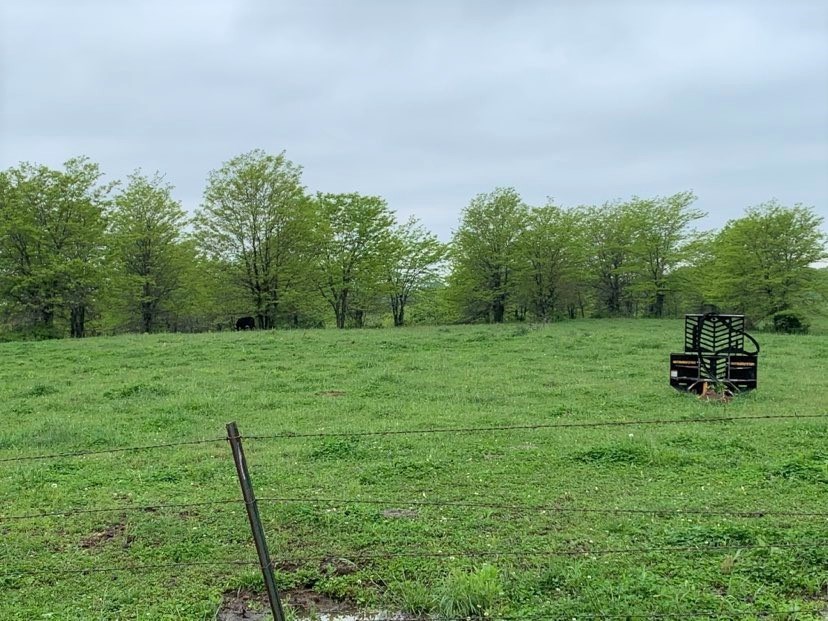 Farm-and-Ranch-Land-For-Sale-in-Putnam-County-MO-19
