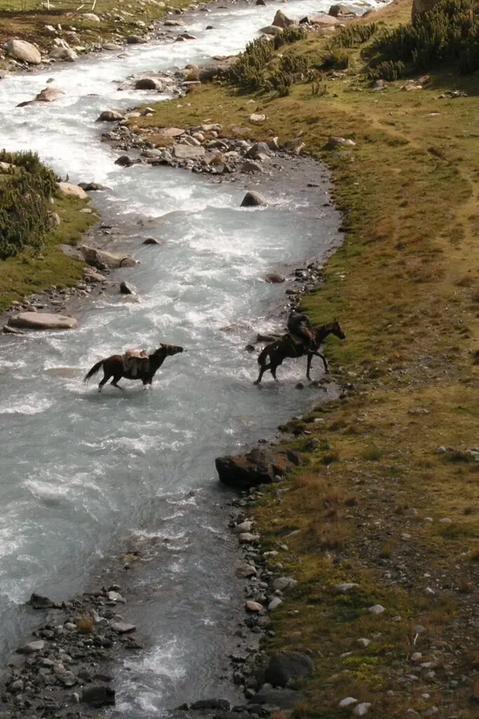Horses being led through a lake