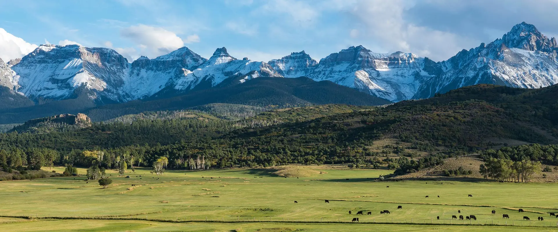 wide open ranch grassland