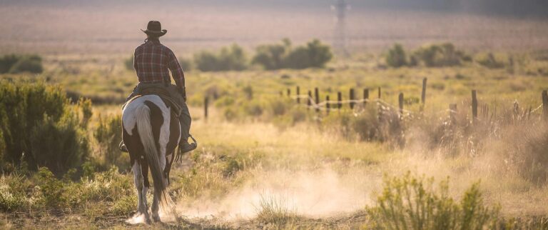 Everything you Need to Know about Ranching in Texas