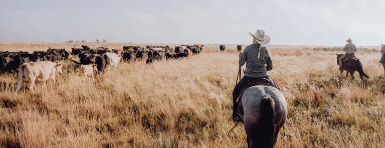 List of the Largest Ranches in the USA