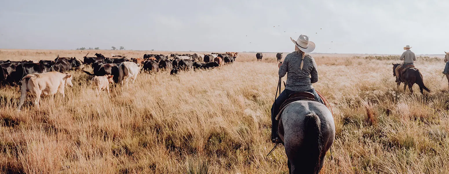 List of the Largest Ranches in the USA