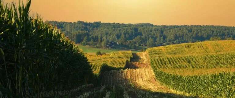 2022 Land Value Report