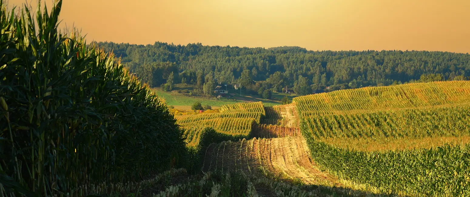 2022 Land Value Report