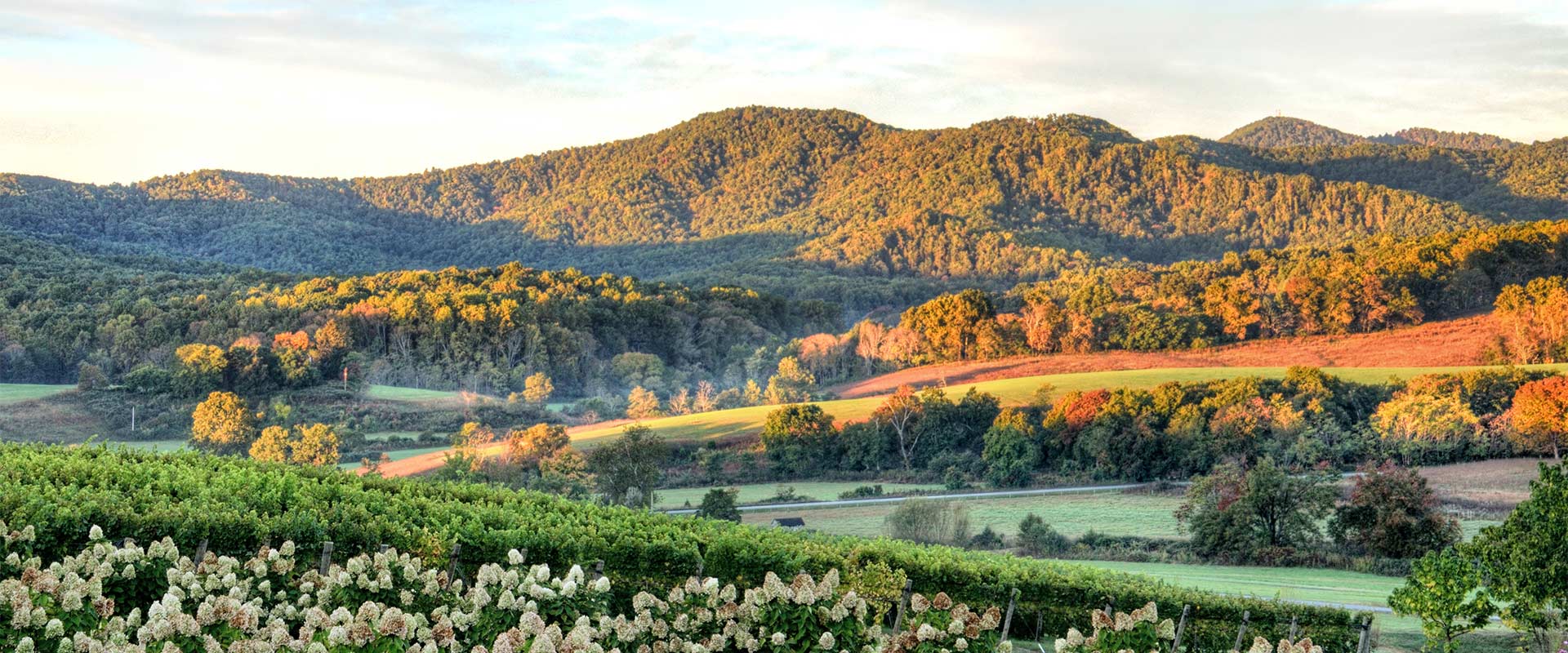 Ranches for sale in Virginia