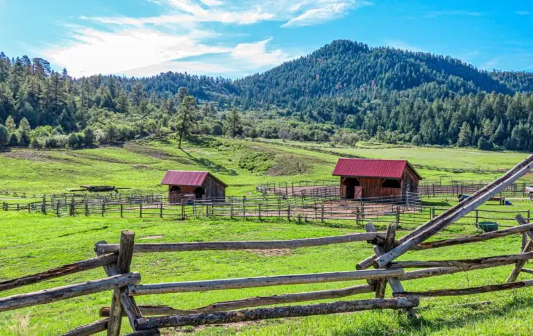 Parelli Ranch views of cabins and fencing