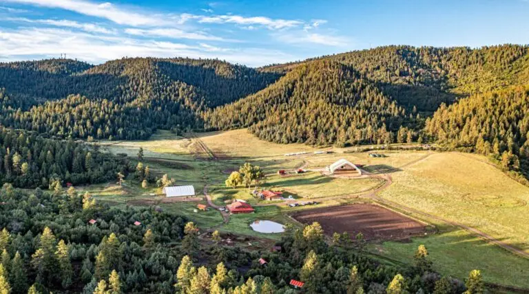 Parelli Ranch Valley View