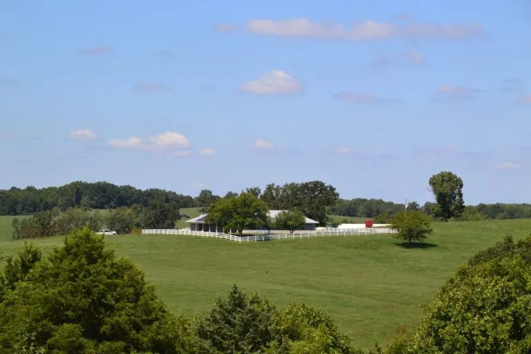 ranch in wright county