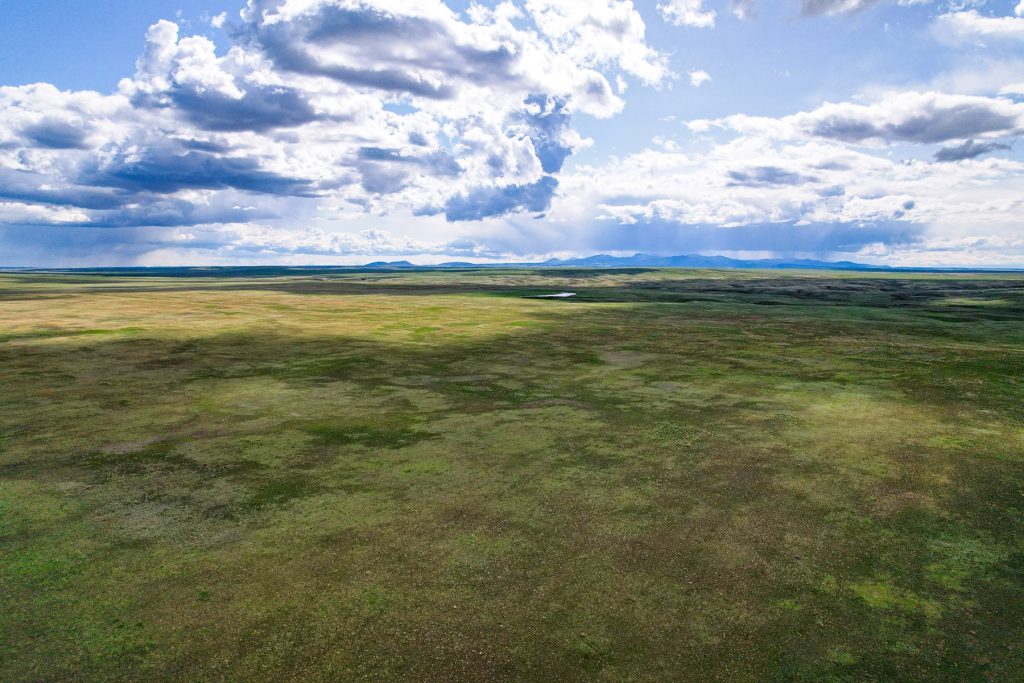 montana cattle ranch