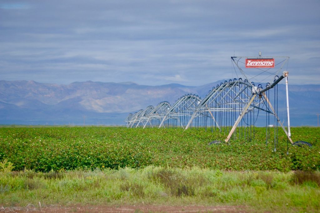 vaquillas farm