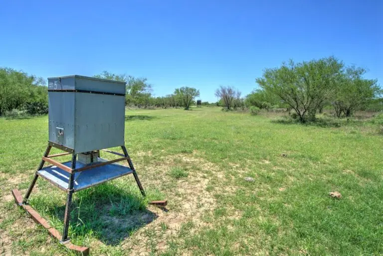 South Texas Hunting Ranch