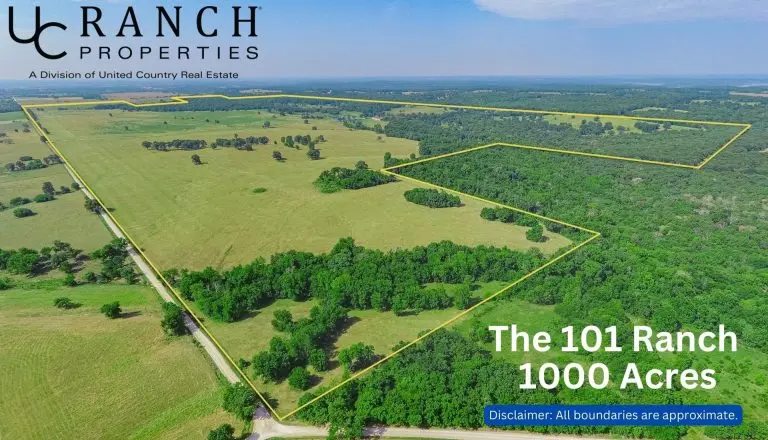 101 ranch