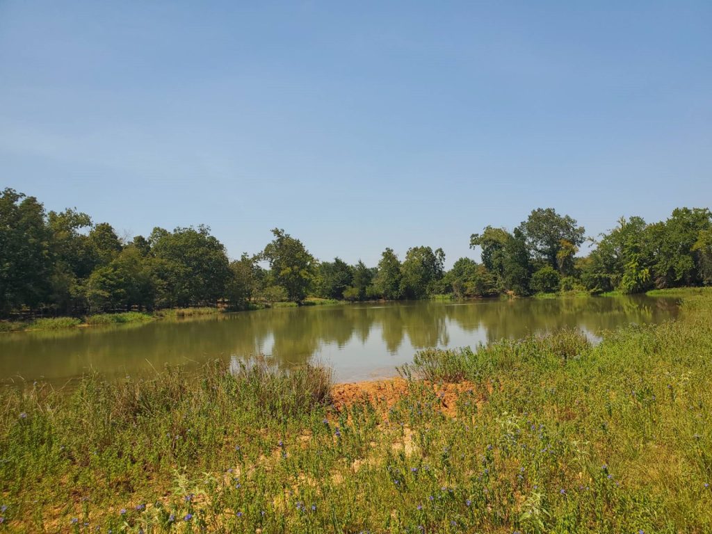 cattle ranch in antlers