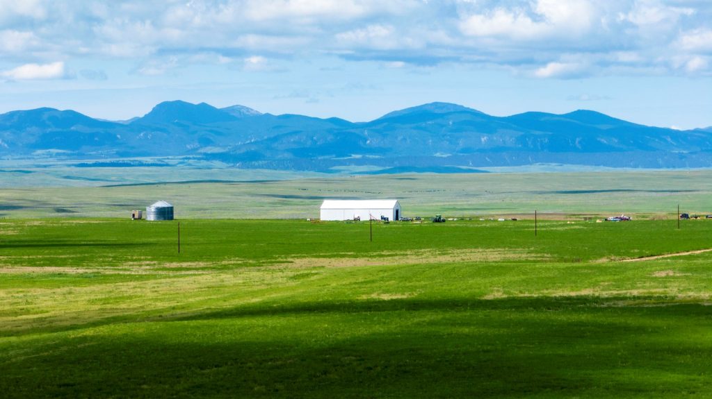 cattle ranch in northeastern montana