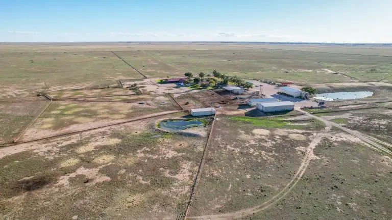 cattle ranch in lea county