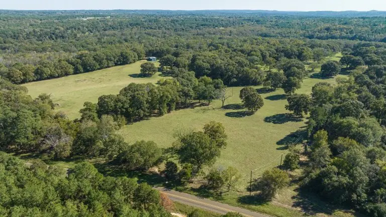 legacy ranch in east texas