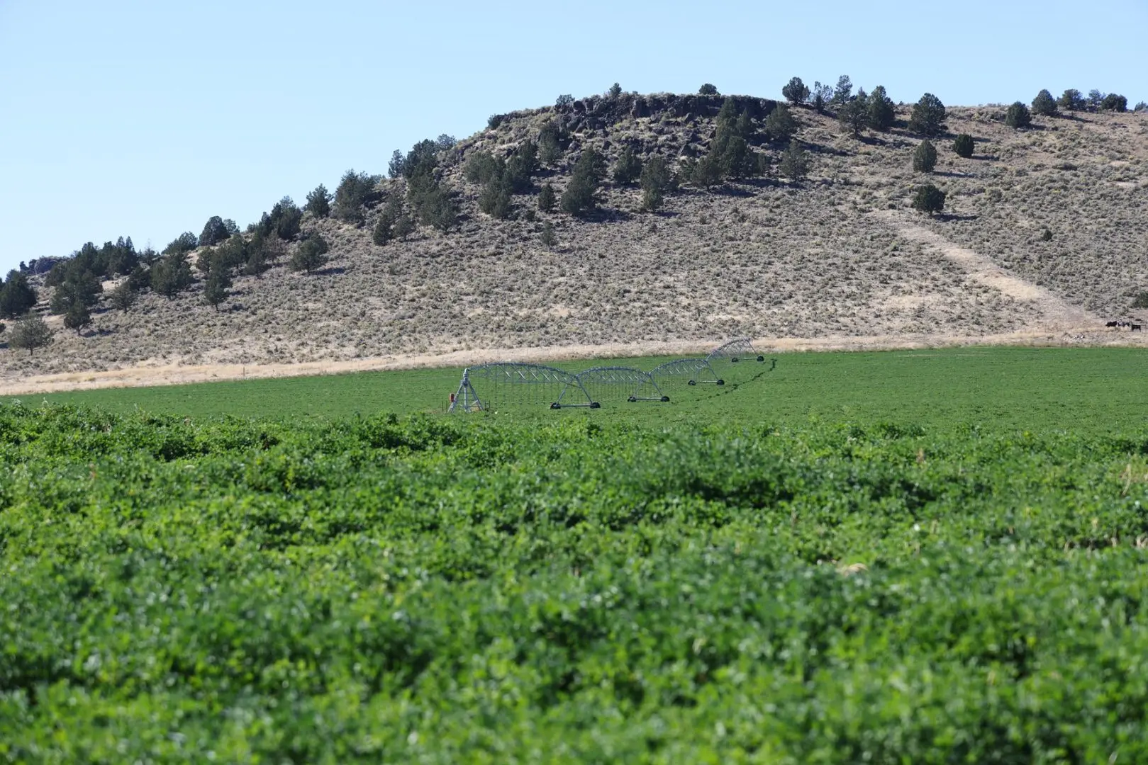 Oregon Ranching 453-Acre Eastern Oregon Farm/Ranch in Burns, OR | UCRP