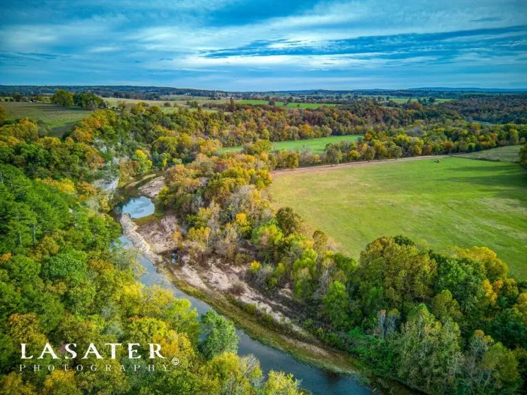 cattle ranch in green forest