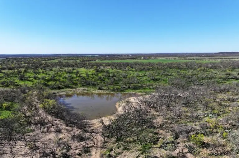 high fence hunting ranch in coleman