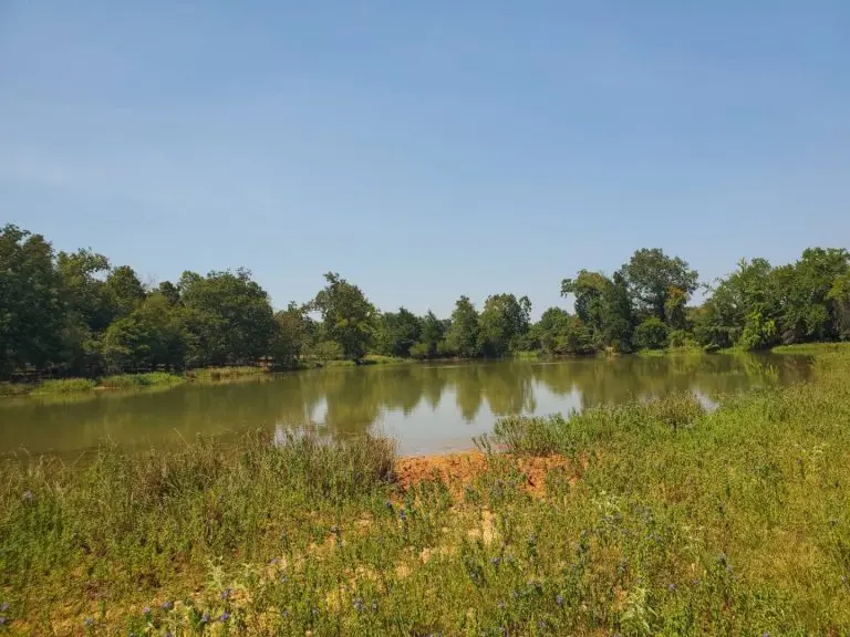 cattle ranch in antlers