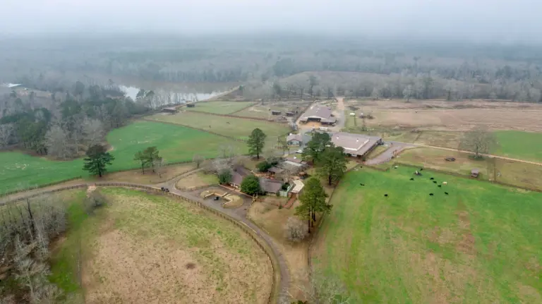 02_6e3ad064-93b8-43ac-b866-a77a8285675d