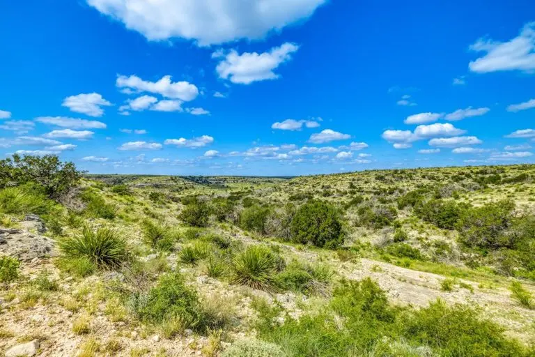 hunting ranch in ozona