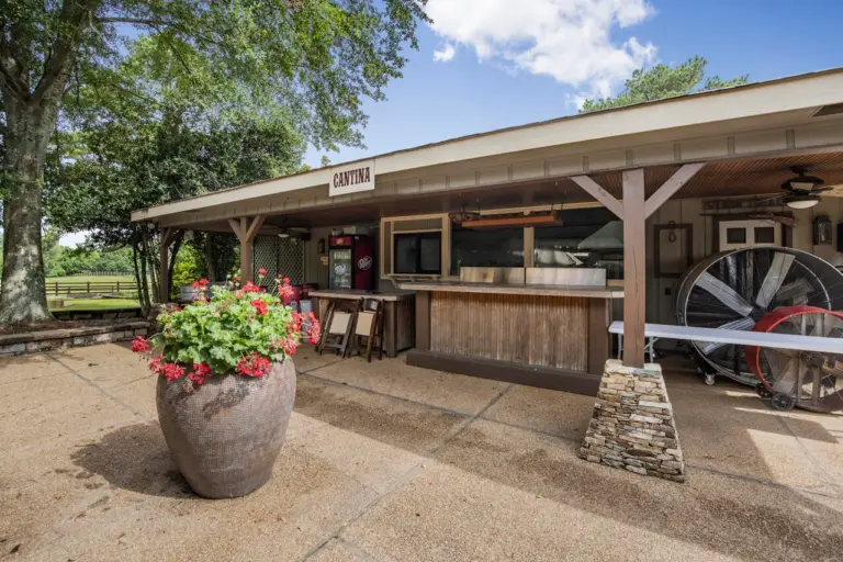 14_124f5913-ff39-4798-ae54-8aa9cace579a