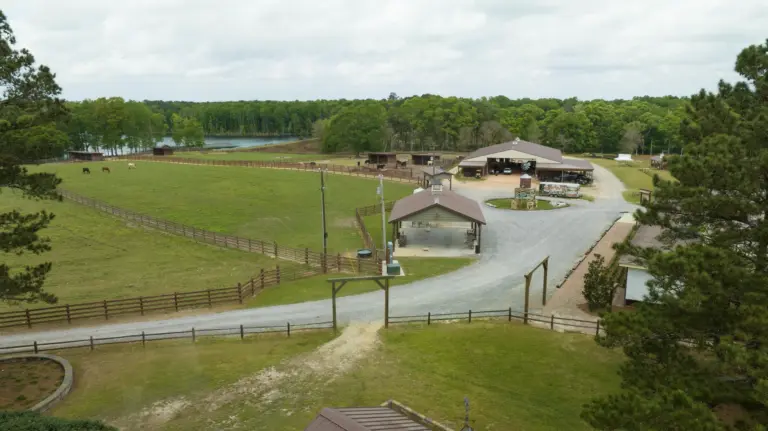 27_26e5766e-54a5-4c61-b7e9-7f8e39c7823c