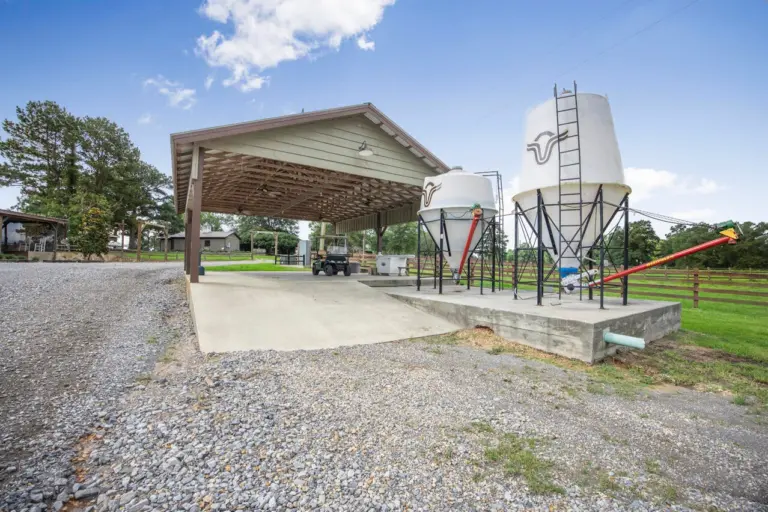 29_e82b56c2-496c-49f6-b298-a626e89a2f9c