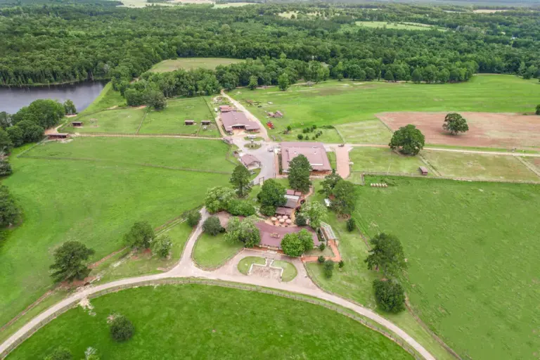 31_04f08874-2ced-4aed-b1e0-9958ddc24aec