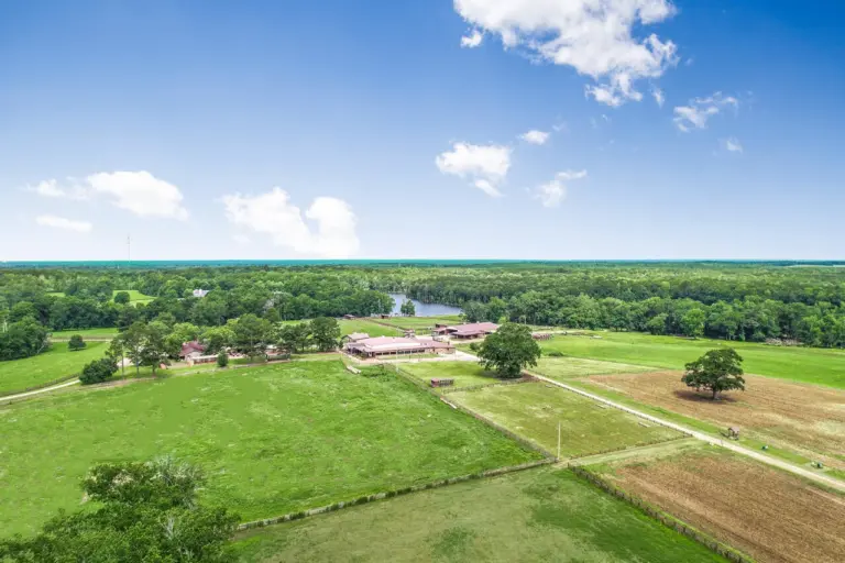 33_5cd1d59a-fb8d-4f24-8f7e-dc9d6aa6ee17