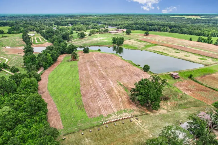 37_737d66be-4c11-40cb-a41d-5fd914be2046