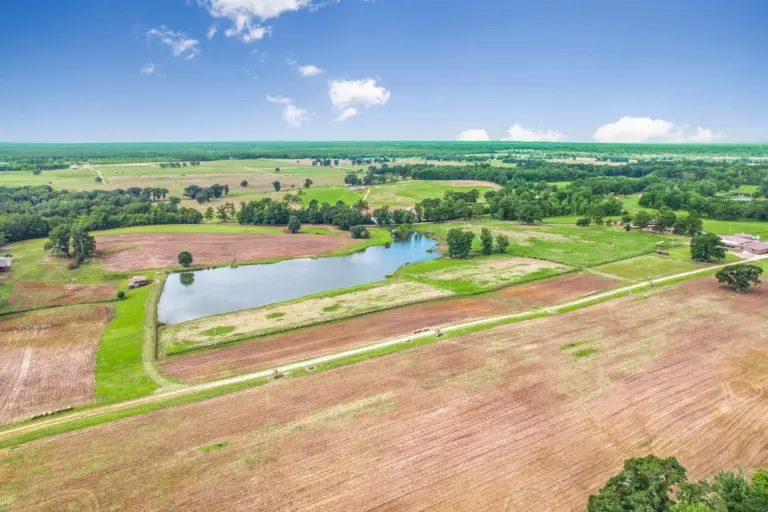 38_f696f5b7-4512-4c47-ae3c-356080cde5fb