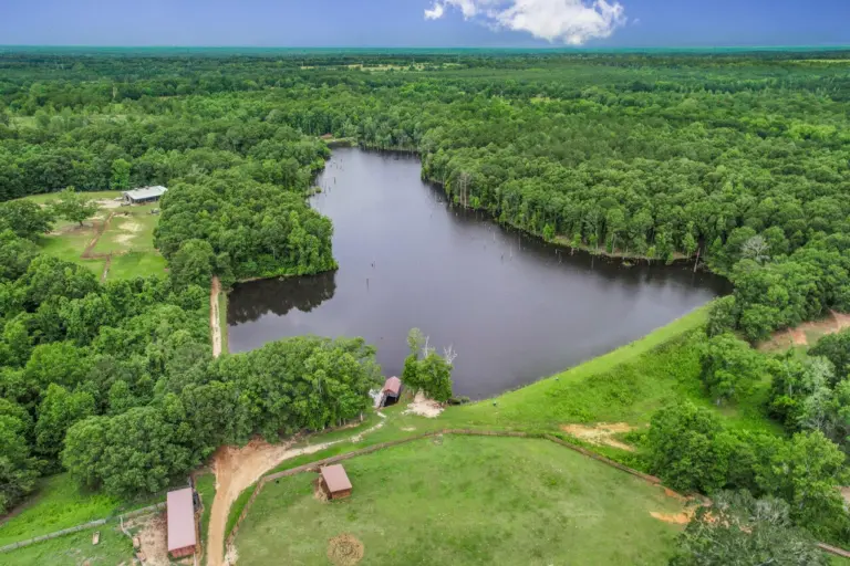 39_d70776c0-c1d9-43b3-a9f1-3fa0093830d4