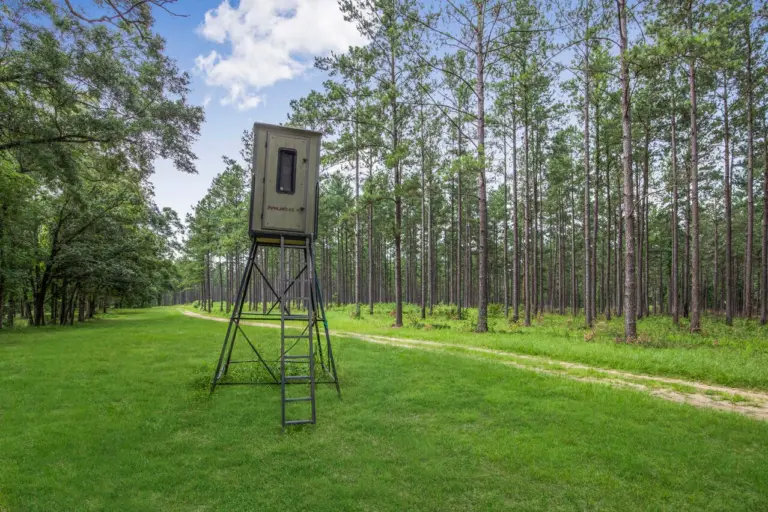 41_88914753-8953-457a-a7a4-52559fd44579