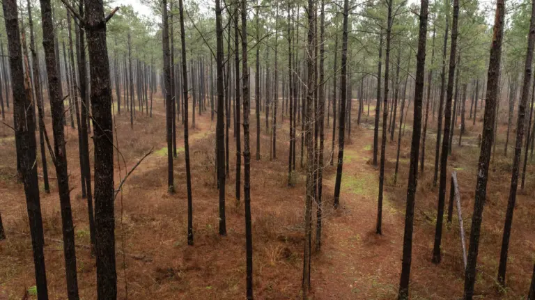 43_f4f3c3a4-f9e6-4a79-a4fc-1c1abc777381