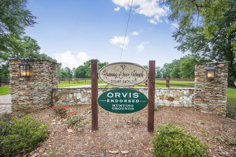 47_ca94e6b0-520c-4a90-8d12-ab257c0874b7