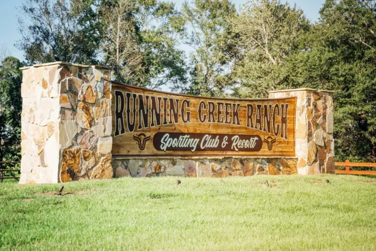 48_d4e41922-b984-409a-b763-988ab3dfeec4