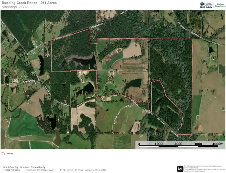 50_630df717-d3f2-4647-8650-e87d2e77ae7e