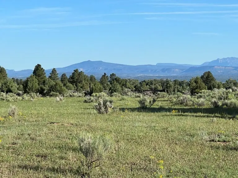 northern new mexico ranch