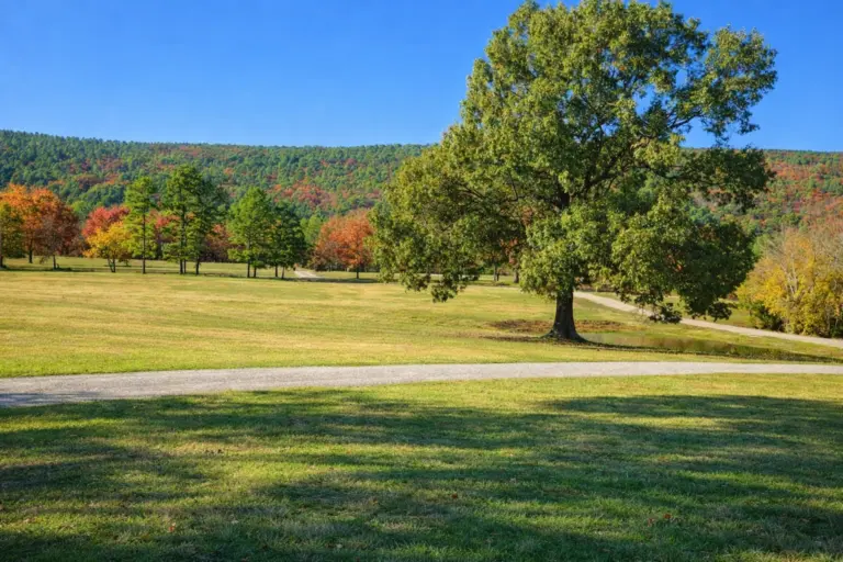 11_2bfaac02-e5cf-4444-9ff1-f0dfc5b3f659