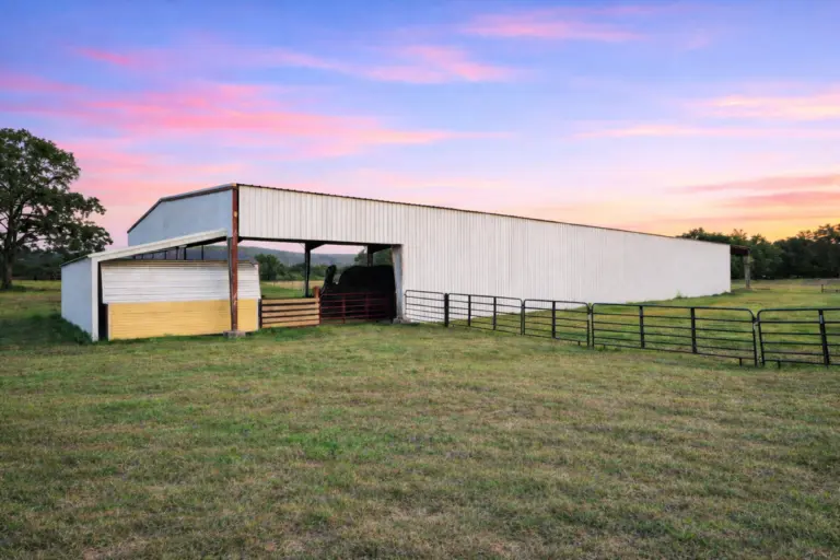 13_83f3066b-fb76-4dec-a037-1ef9504bb31d