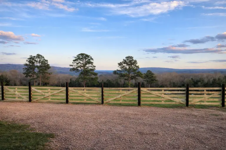 14_127f49c4-99f4-4473-8c36-c3d19bda95d2