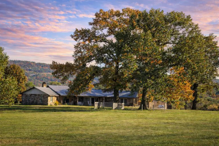 17_08923f56-7210-4bda-abd1-fa55d530ed97