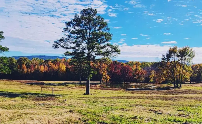 18_9c834b8b-e5fc-4f02-aa9a-bcd5fc554887